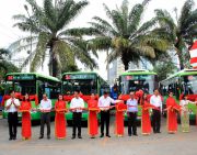 TP.HCM thay xe mới 2 tuyến buýt nâng cao chất lượng phục vụ hành khách